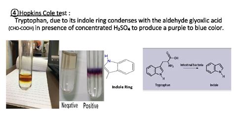 hopkins cole test positive result|Tests of Amino acids.